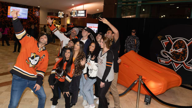 2d038560-ee54-4b49-9453-ec7d33b0f28fIbarra