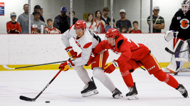 20260703_FLAMES_DEV_CAMP_FLA3129_JP