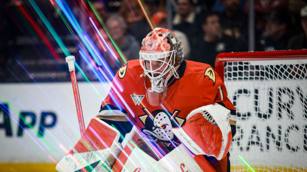 d9c4e8c8-6d94-4eb4-ab4a-dd1c52701f82Vasquez