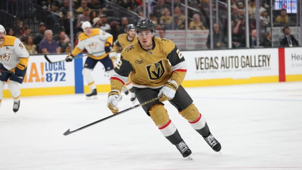 NSHvsVGK_zk_2025-04-12_0401