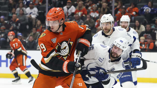 28301656_Tampa_Bay_Lightning_v_Anaheim_Ducks_Andrew_Taylor_(Greenfly)_20250106_035608