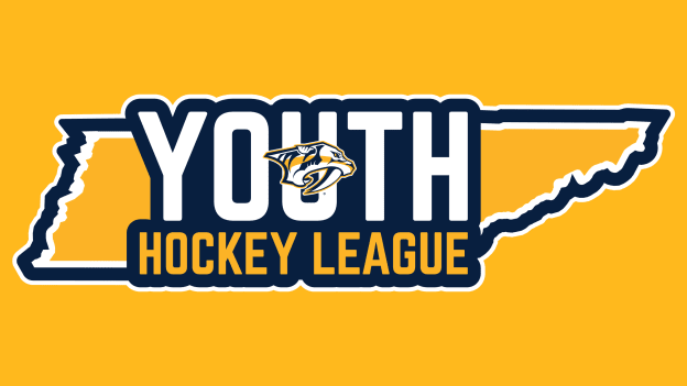 <center>FIC Youth Hockey League</center>