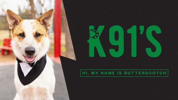 Butterscotch's adoption fees are covered