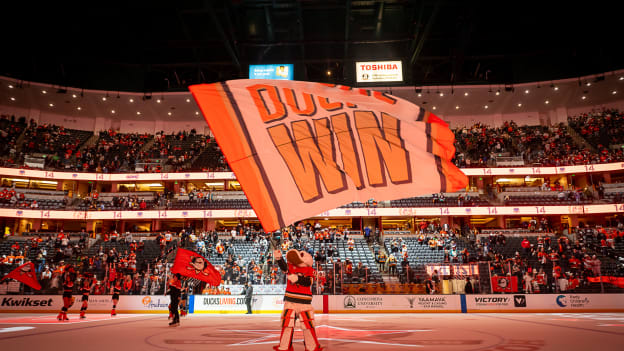 d00ce7aa-44a8-494b-9297-c27a307ff8f3wing-34