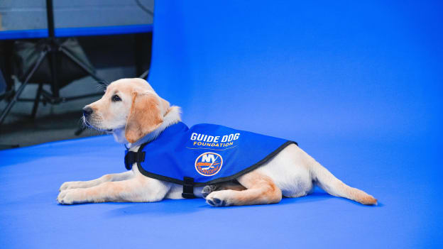 PHOTOS: Islanders 2025 Pucks and Paws Calendar Photoshoot