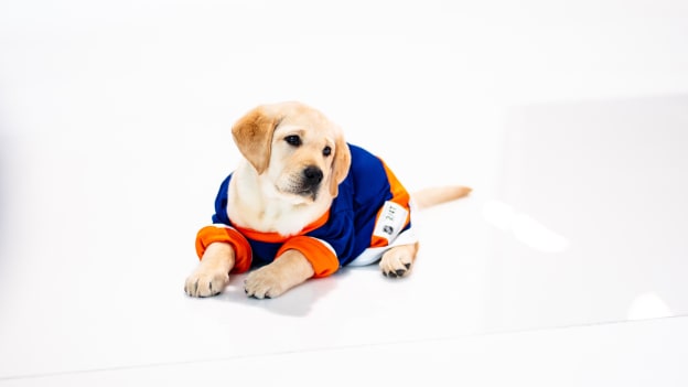 20251015_PuppyCalander_BTS_SJ-05 2