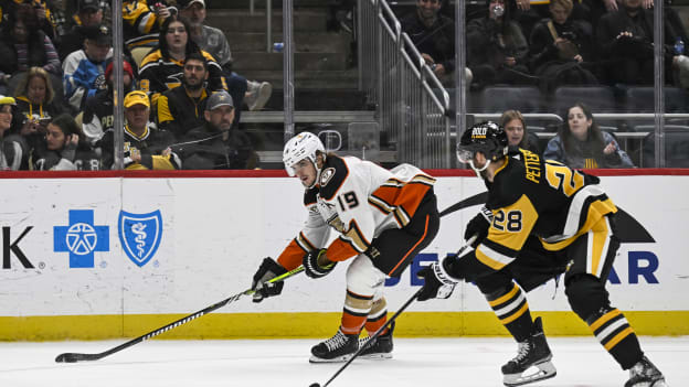 18343505_NHL__OCT_30_Ducks_at_Penguins_Andrew_Taylor_(Greenfly)_20231031_022429
