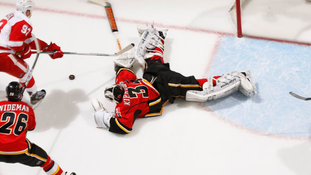 Photo Gallery - Thank You, Kipper!