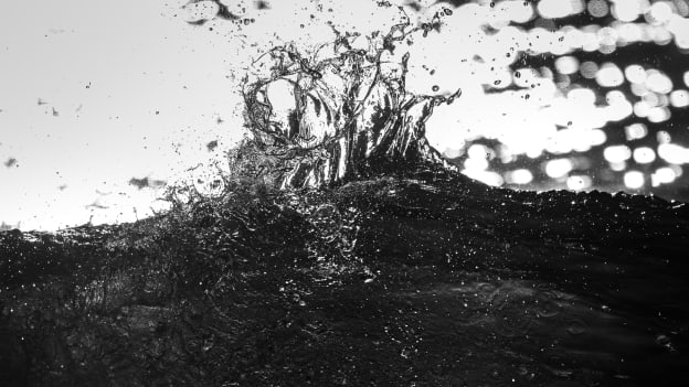 20260213_DownTheShore-104