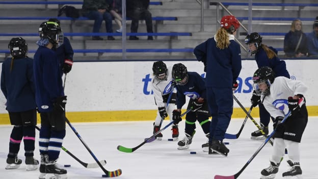 Youth Hockey