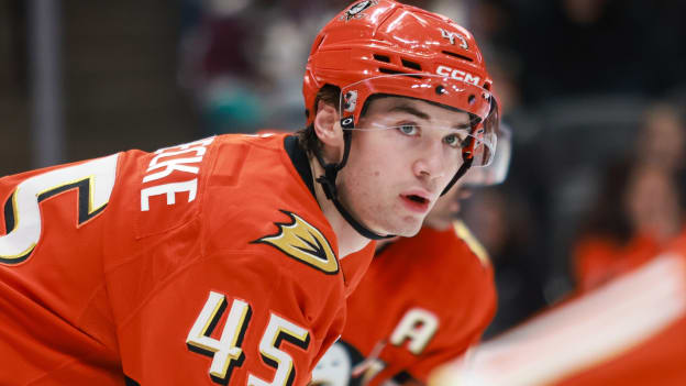 39764124_Nicole_Vasquez_20260202_033248