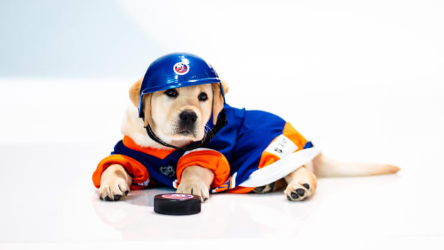 20251015_PuppyCalander_BTS_SJ-06 2