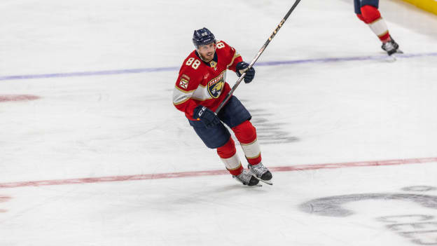 LS1_1593-Enhanced-NR