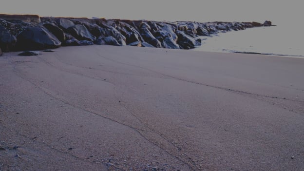 20260213_DownTheShore-015