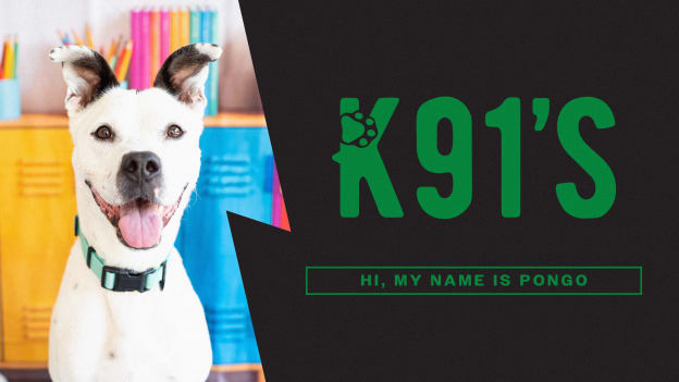 Pongo's adoption fees are covered