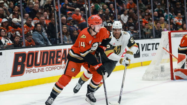 39764120_Nicole_Vasquez_20260202_033246