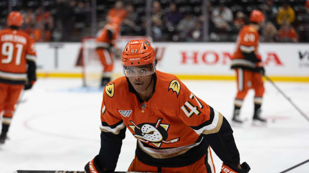 36177770_Ryan_Hadji_20250923_015349