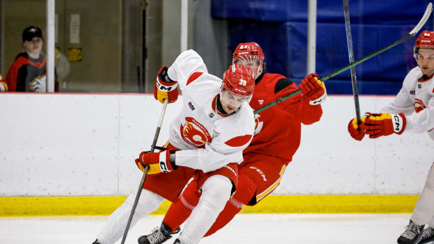 20260703_FLAMES_DEV_CAMP_FLA3982_JP