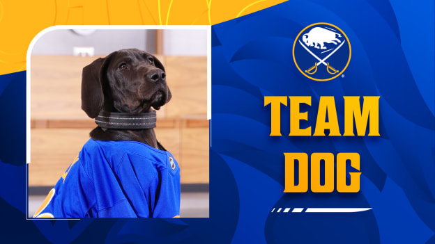 Team Dog