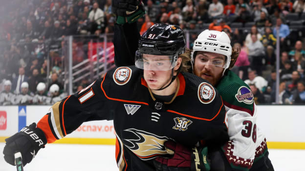 18396205_Arizona_Coyotes_v_Anaheim_Ducks_Andrew_Taylor_(Greenfly)_20231102_040410