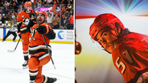 Ducks Frozen Moments