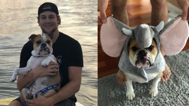 Players' Pets, pres. by PetSmart: Winnie Carlo