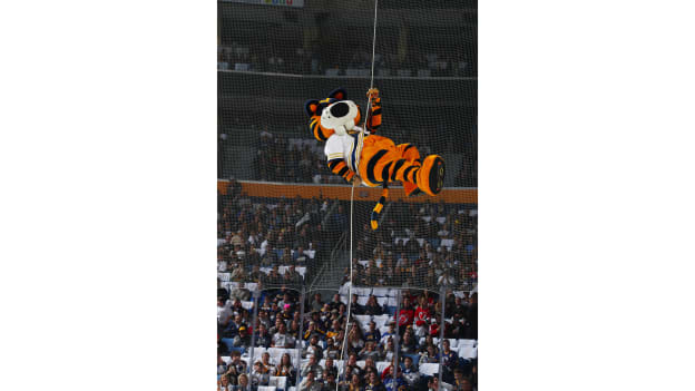 20191005-tooth-repel