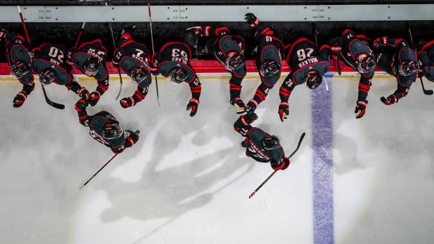 250309_Favorites_CC907215