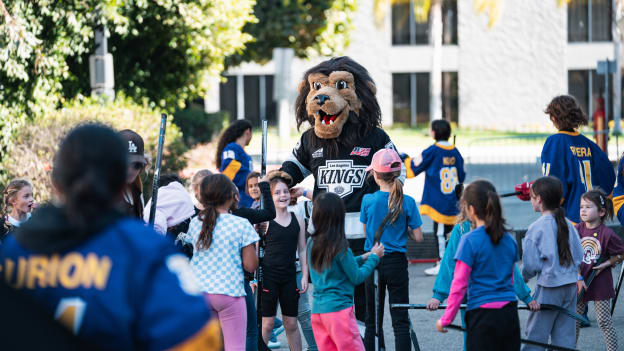 GIRLS TRY HOCKEY FOR FREE