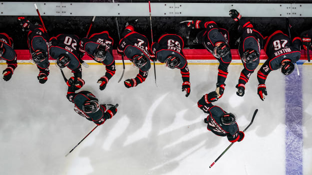 250309_Favorites_CC907213