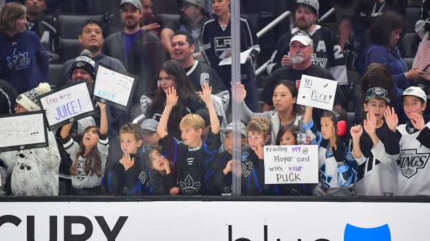 Lower Bowl Spotlight