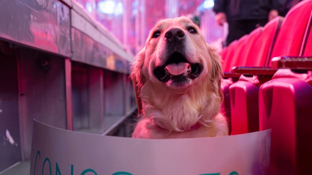 20260409-tbl-mtl-ABC00455