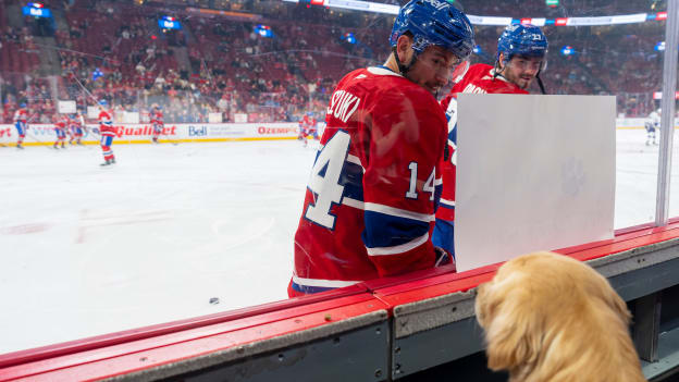 20260409-tbl-mtl-ABC00612