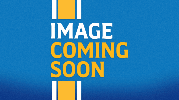 Class of 2026 Blues Hall of Fame Banner