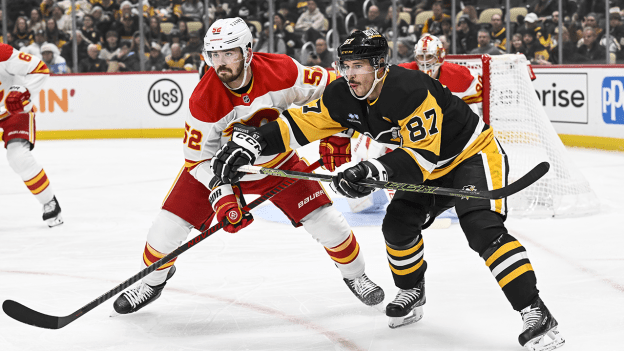 Flames Downed By Pens