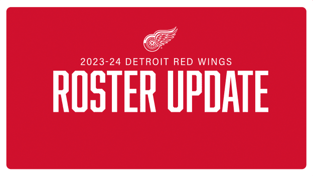 Detroit Red Wings: 5 Second Round Targets in the 2022 NHL Draft