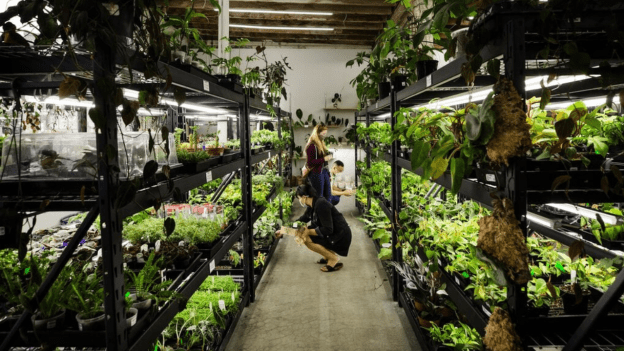 Peace, Love & Happiness