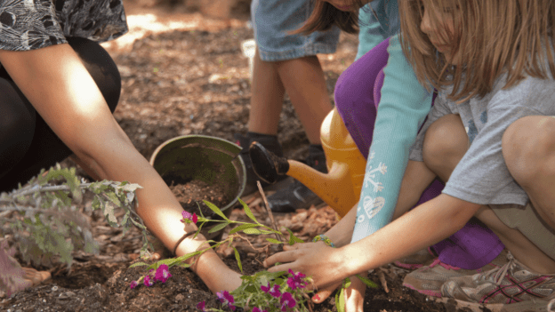Center for Environmental Health Equity