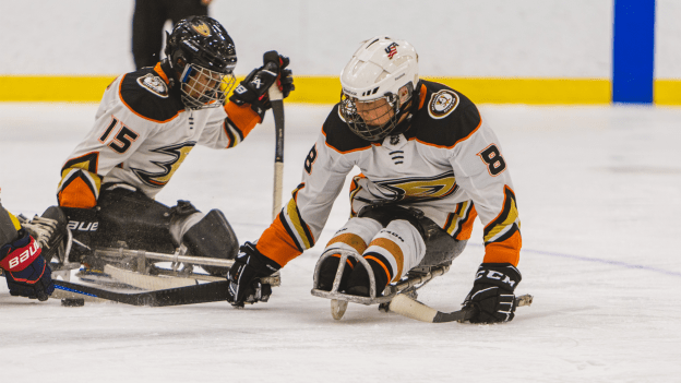 Sled Hockey