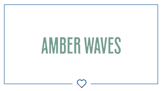 Mar. 19, 2024 - Amber Waves Foundation