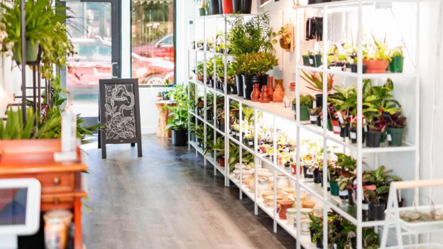 Nightshade Botanicals