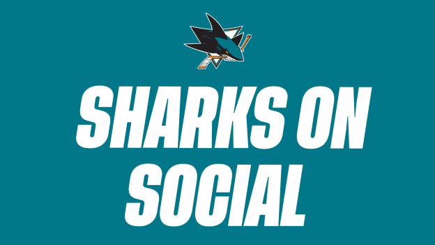 Sharks on Social