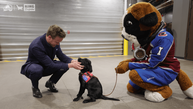 KS Best moments 16x9 (12)