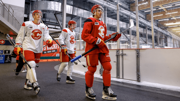 20250702_DEV_CAMP_FLA2469_JP