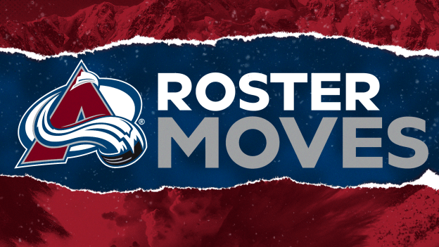 Avalanche Signs Bardakov