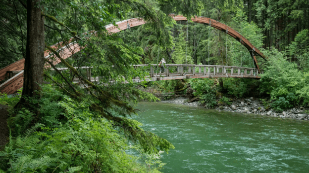 Mountains To Sound Greenway Trust