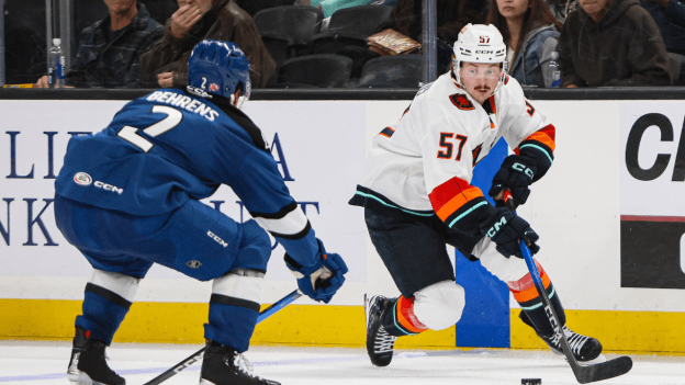 Firkus Firing for ‘Birds in All Zones