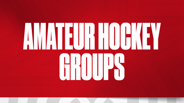Amateur Hockey Groups