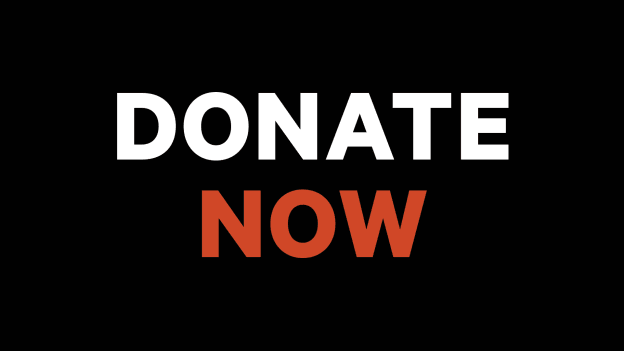 Donate now to support to growth of Rink Revive