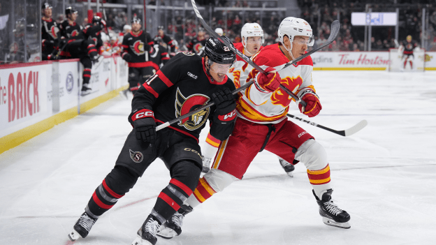 Flames Fall To Sens